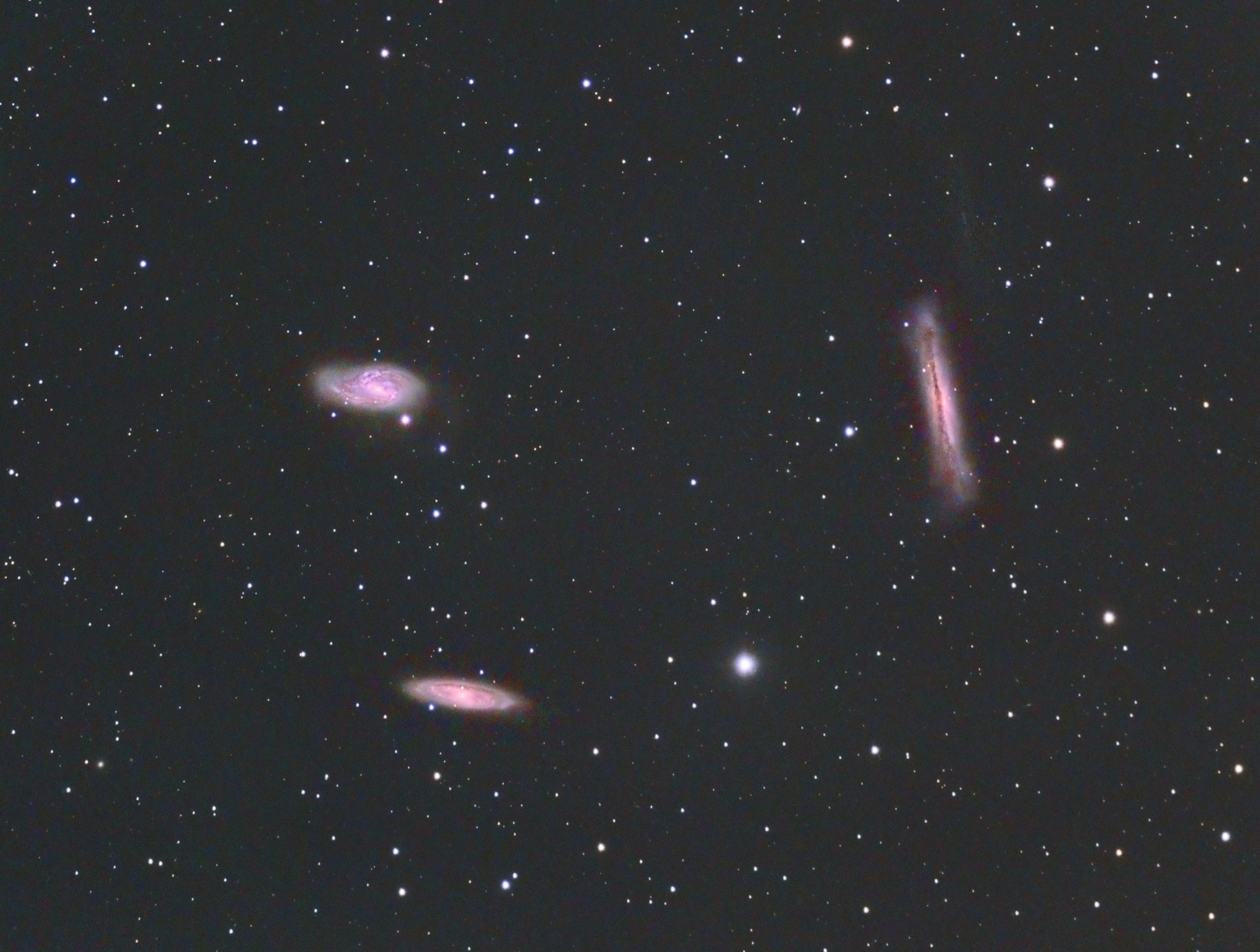 STELLE AL MUSEO - IL PRIMO CIELO DI PRIMAVERA