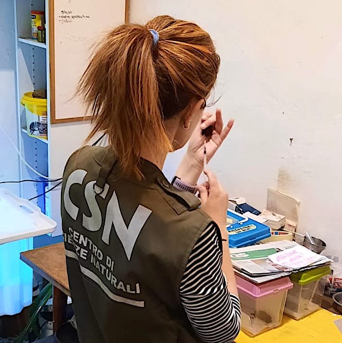 La Fondazione PARSEC seleziona un naturalista o biologo