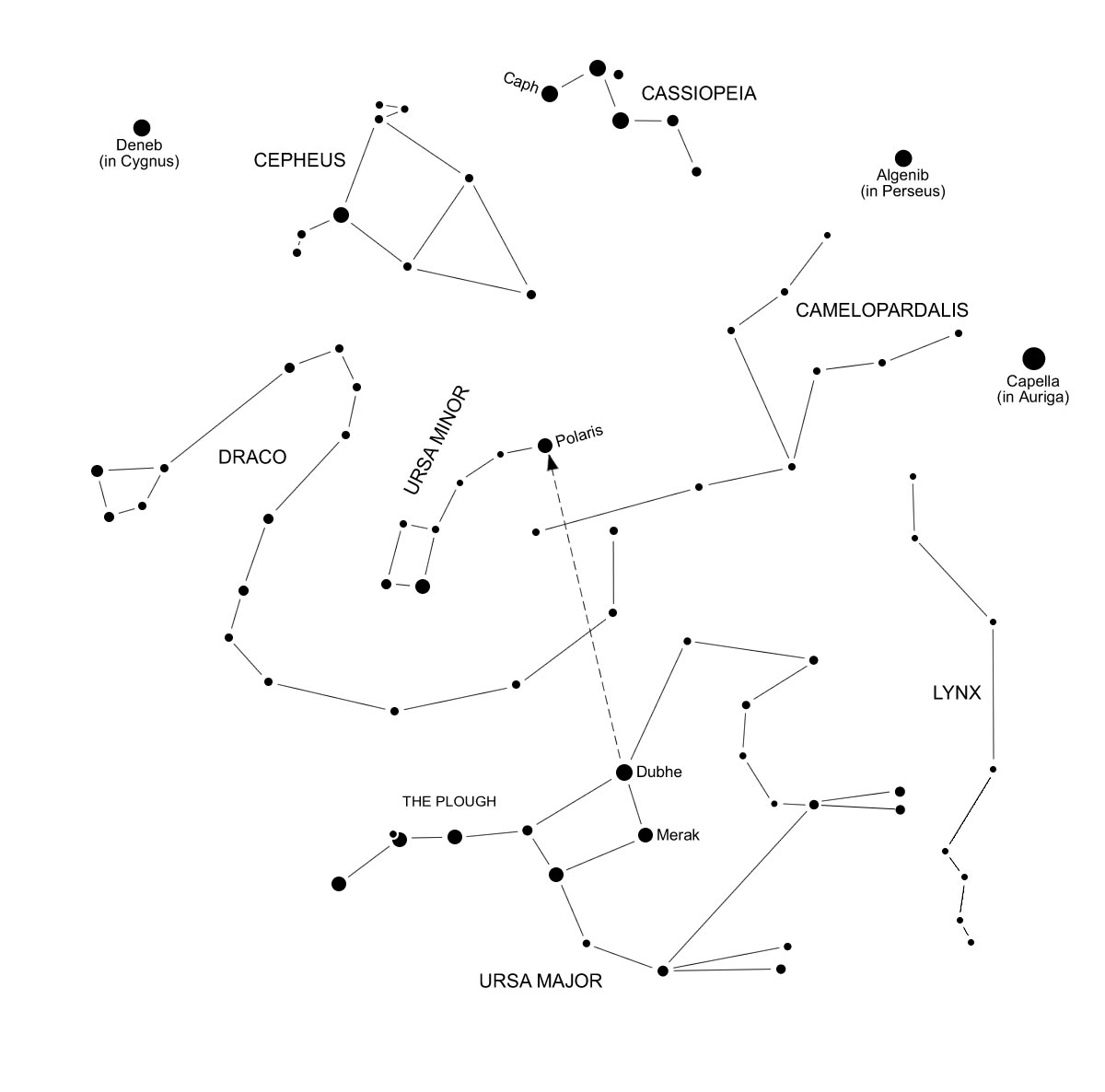 Costellazioni: figure nel cielo notturno