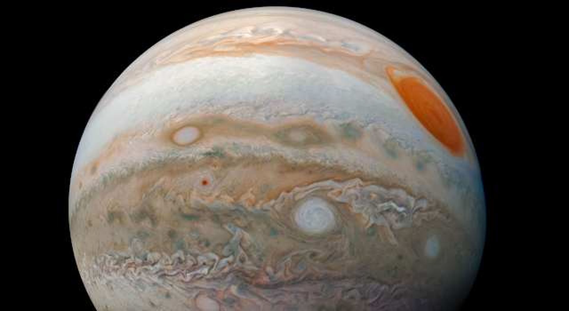 Stelle al Museo - La prima notte d'Estate