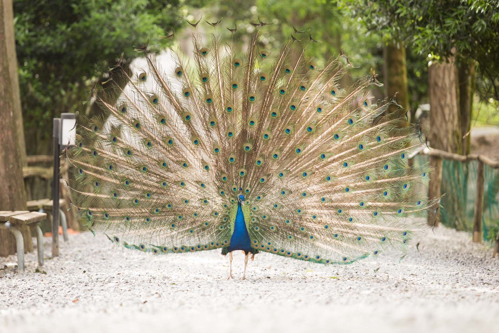 Primavera: il risveglio della Natura