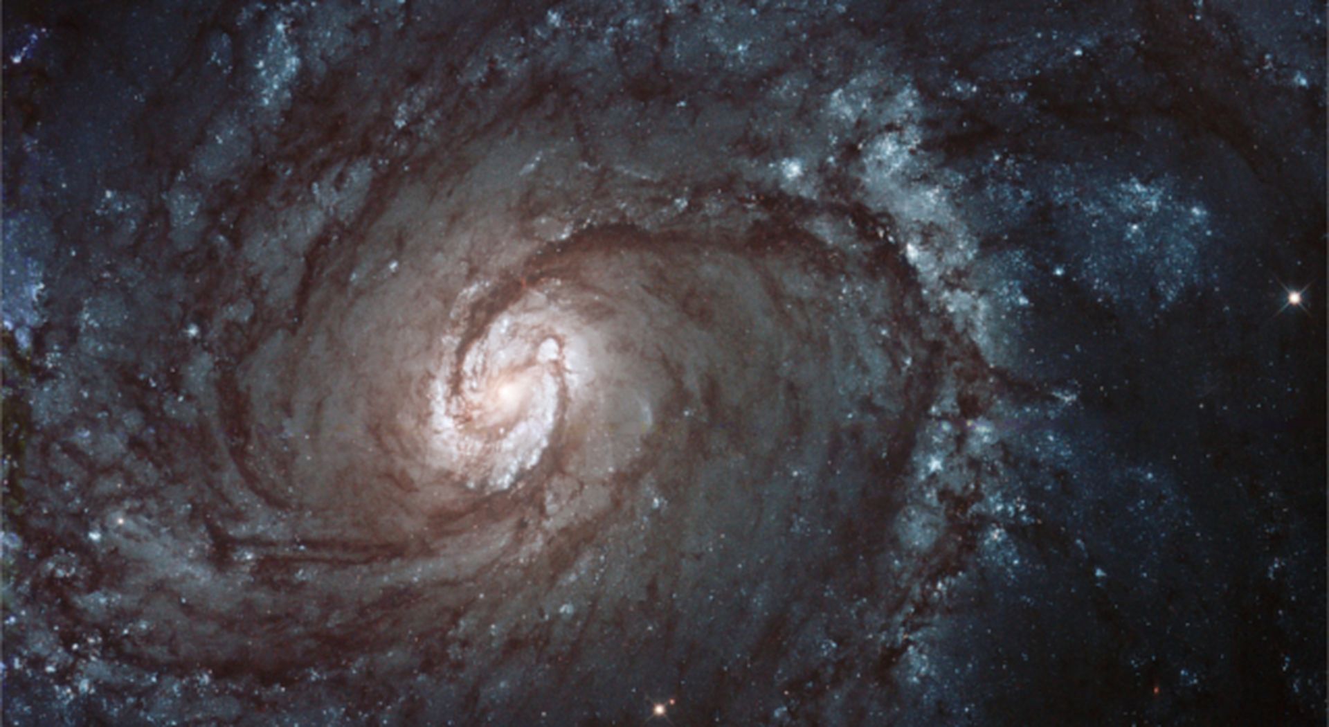 Stelle al Museo - Il cielo di Aprile