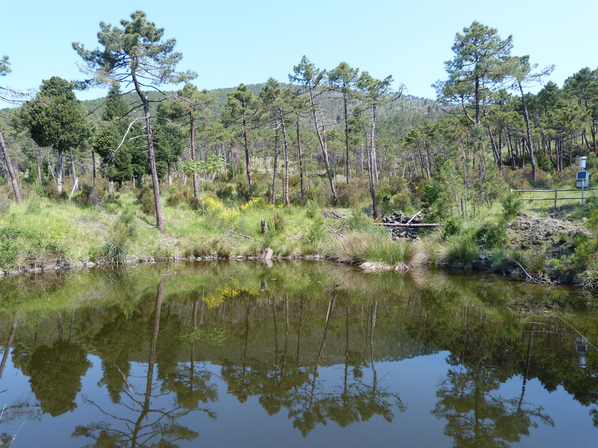 Avviso della Fondazione Parsec: selezione per l'assunzione stagionale di due operatori