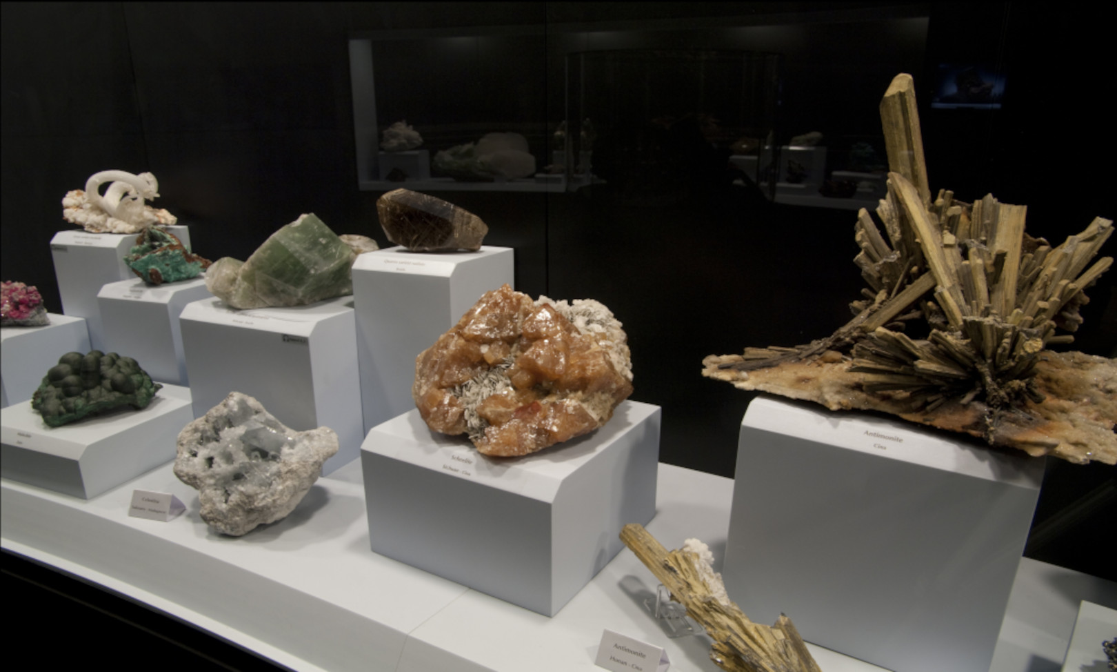 CACCIA AL TESORO AL MUSEO!