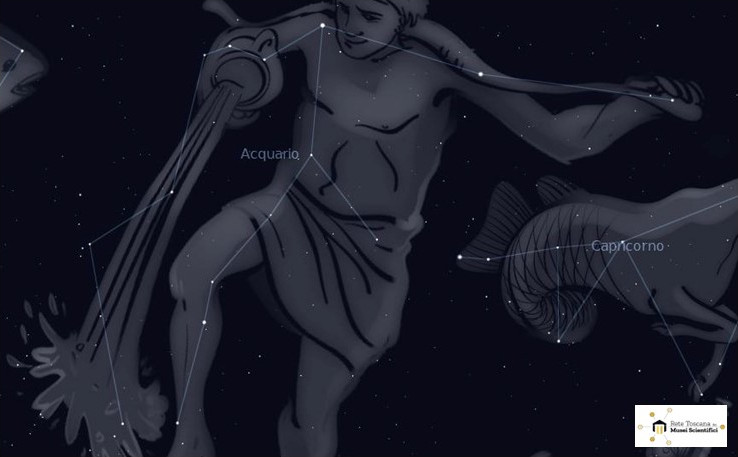 Dall'acqua al cielo: le costellazioni del mondo marino
