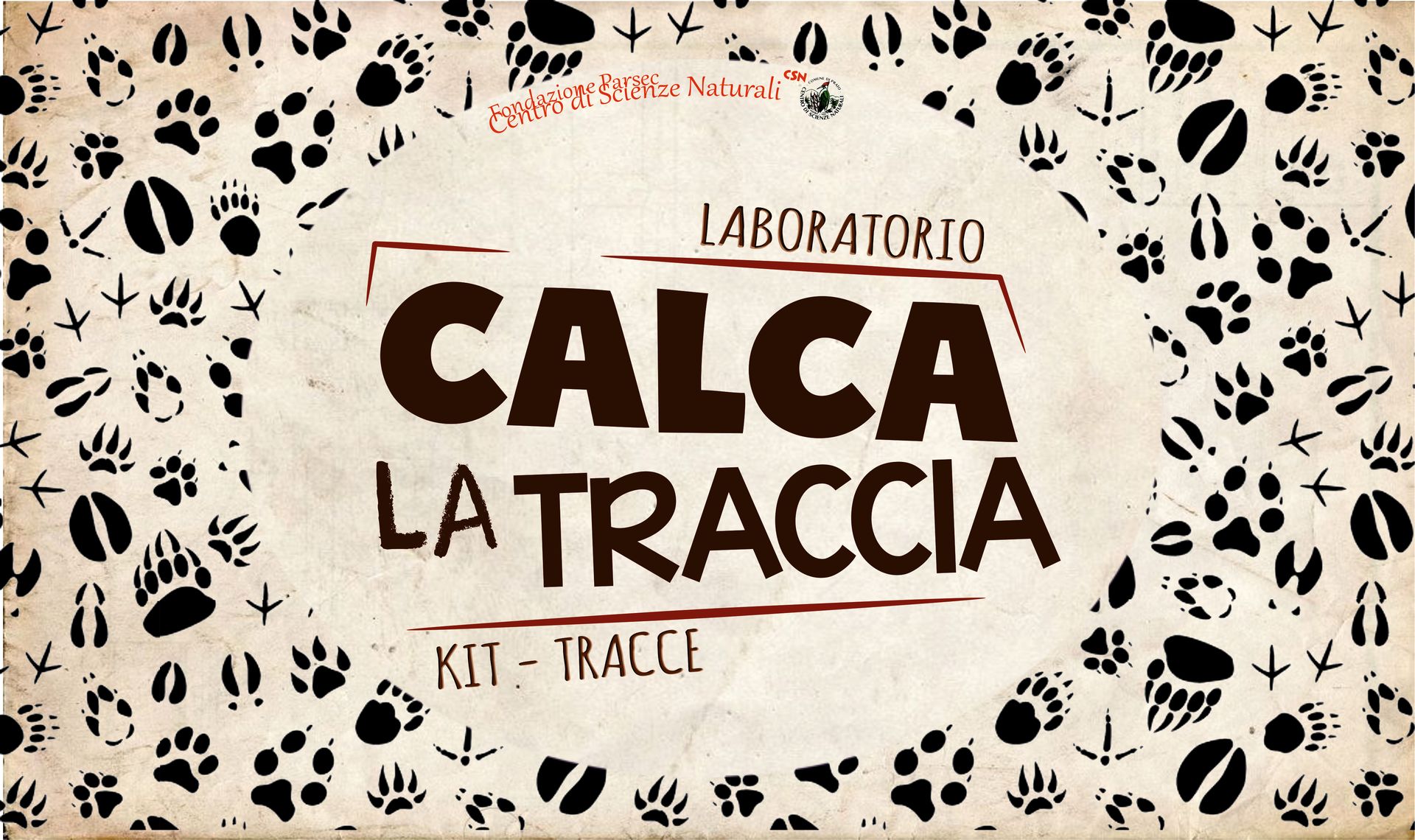 Calca la traccia