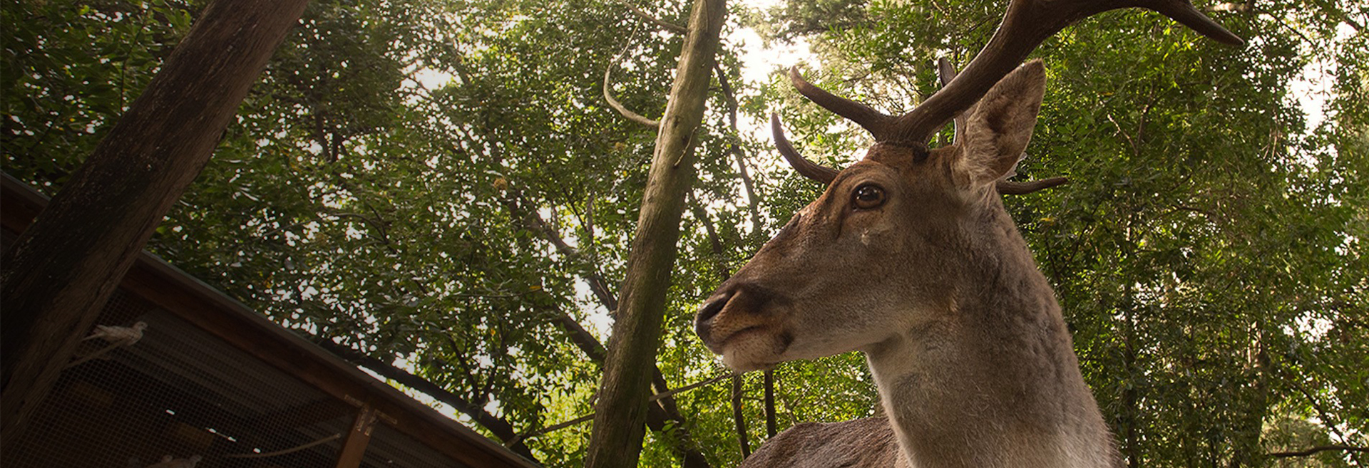 Ordinanza N. 37: Museo di Scienze Planetarie chiuso
