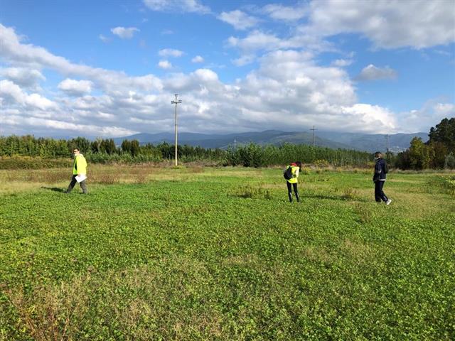 CACCIA ALLA METEORITE