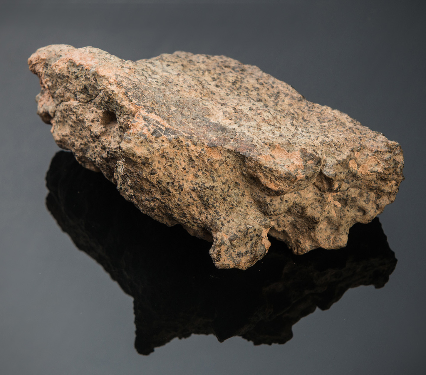 La meteorite marziana del Museo di Scienze Planetarie esposta al Milan Games Week dal 25 al 27 novembre